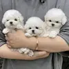 Calvin Marion - @calvin.marion79 - TikTok