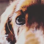 Marion Clements - @marion.clements.9 - Instagram