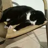 Marion Clements - @marion.clements - TikTok