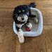 Marion Coe - Facebook