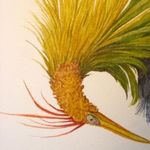 Marion Coe - @marion_coe_art - Instagram