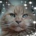 Marion Coe - Facebook
