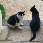 Marion Conway - @mjeve70 - Instagram