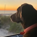 Marion Reilly Conway - @conwaymarion55 - Instagram
