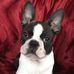 Marion Cornelius - Facebook