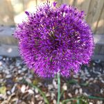 Marion Croucher - @marion_croucher - Instagram