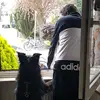 KölnMarie💞OHP💞 - @mariondahl579 - TikTok