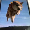 Marion Dahler - @marion.dahler - TikTok