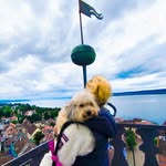 Marion Danner - @dannermarion - Instagram