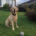 Marion Dickson - Facebook