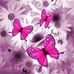 Marion Dickson - Facebook