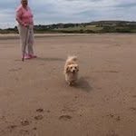 Marion Dowdeswell - @mariondowdeswell - Instagram