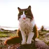 mariondowd - @mariondowd - TikTok