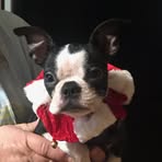 Marion Durham - Facebook