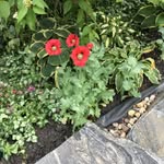 Marion Ebner - @marionebner1947 - Instagram