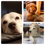 Marion Eckert - @marion.eckert.germany - Instagram