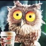 Marion Eckert - @eckert4211 - Instagram