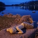 Marion Ellert - @ellertmarion1 - Instagram