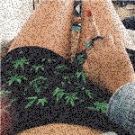 Marion Erickson - @colleenrcreech13 - Instagram