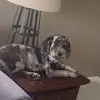 Mary Ewing 🤪😎🤓🥨 - @mary.1251 - TikTok