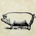 Marion County Fair and Livestock - Facebook