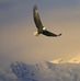 Marion Ketah-fair - Facebook