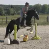 Marion.18 - @marion.farmer18 - TikTok