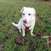Marion Faster - @marionfaster - TikTok