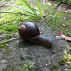 Marion Fechner - @marion.fechner - TikTok
