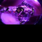 @marion_fieldsk - Instagram