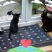 Marion Flood - Facebook