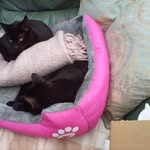 Marion Flood - @marionflood98 - Instagram
