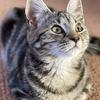 Marion Flood - @marion.flood - TikTok
