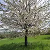 Marion Ford - @marion.ford5 - TikTok