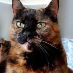 Marion Ford - @mooby65 - Instagram