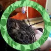 Fredrick Marion - @fredrick.marion - TikTok