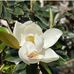 Marion Gary - Facebook