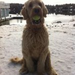 Marion Gary Poole - @marion.poole56 - Instagram