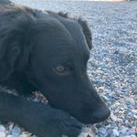 Marion Geiger - @fritsche_mari - Instagram