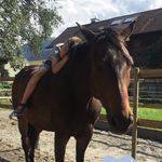 Marion Geiger - @marion.geiger.33 - Instagram