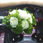 Marion Geiger-Borchers - @lemmi4664 - Instagram