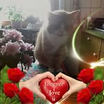 Marion Geiselmann - @mariongeiselmann - Instagram