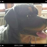 Marion Gerken - @mariongerken59 - Instagram