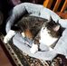 Marion Gould - Facebook