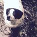 Marion Gould - Facebook