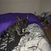 Marion Greene - Facebook