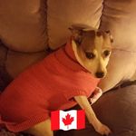Marion Greene - @marion.greene.10 - Instagram