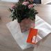 Marion Grimm - Facebook