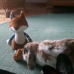 Marion Grimm - @grimm1362 - Instagram