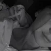 Marion.Hale - @marion.hale2 - TikTok